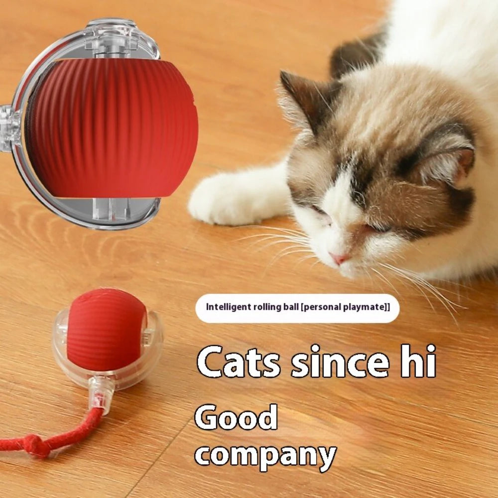 Interactive Rolling Tail Ball – Endless Fun for Cats & Dogs