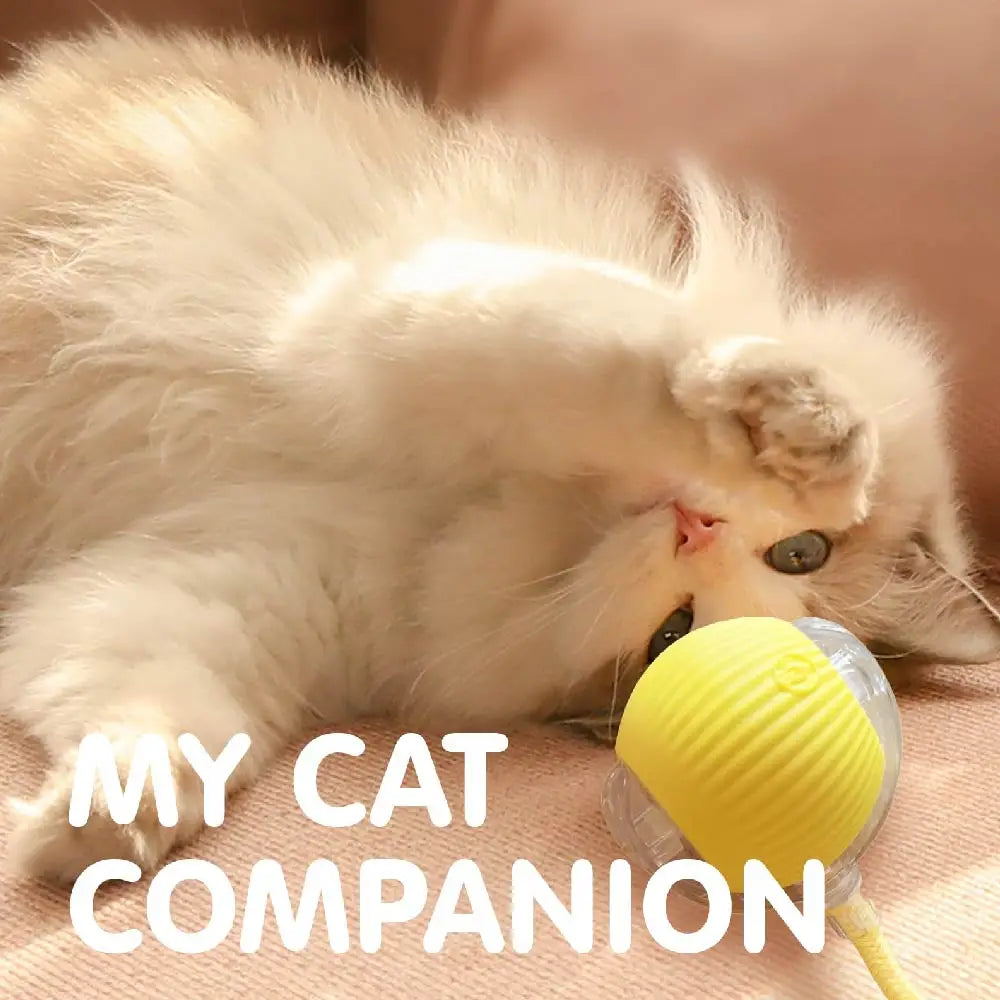 Interactive Rolling Tail Ball – Endless Fun for Cats & Dogs