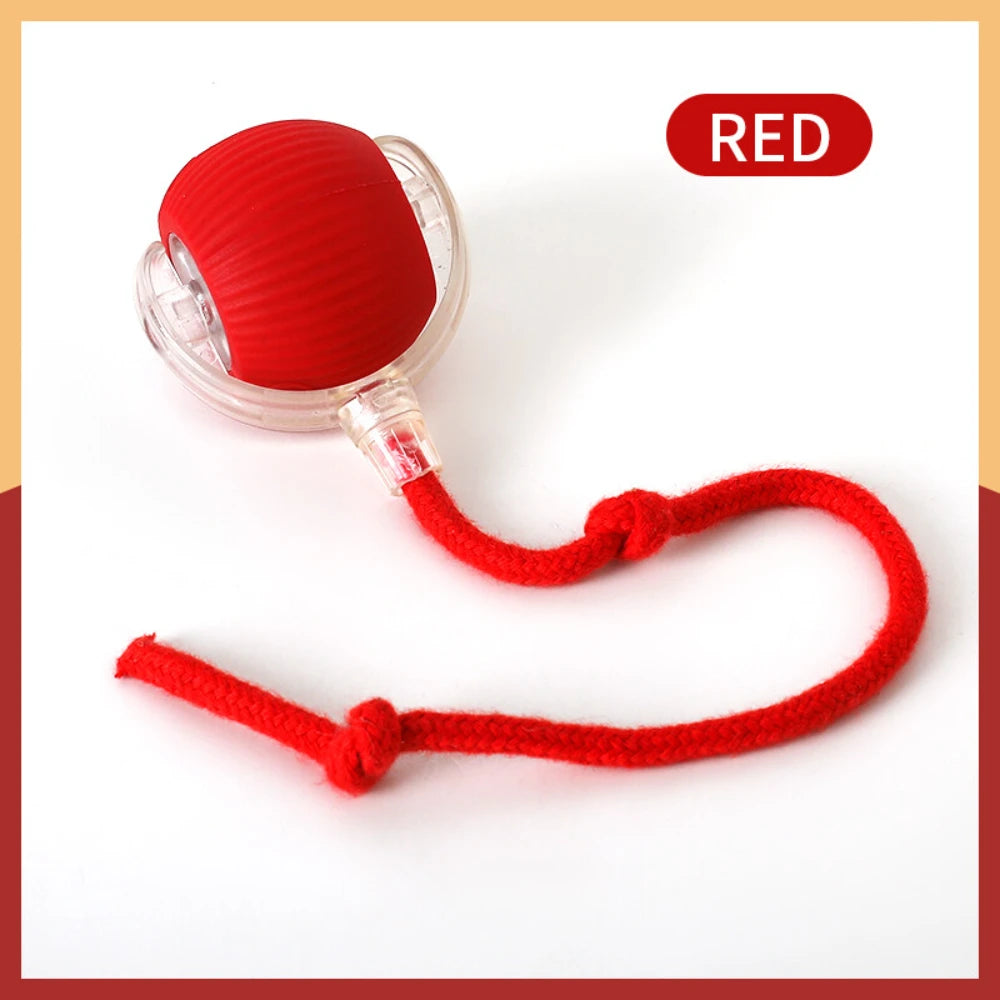 Interactive Rolling Tail Ball – Endless Fun for Cats & Dogs