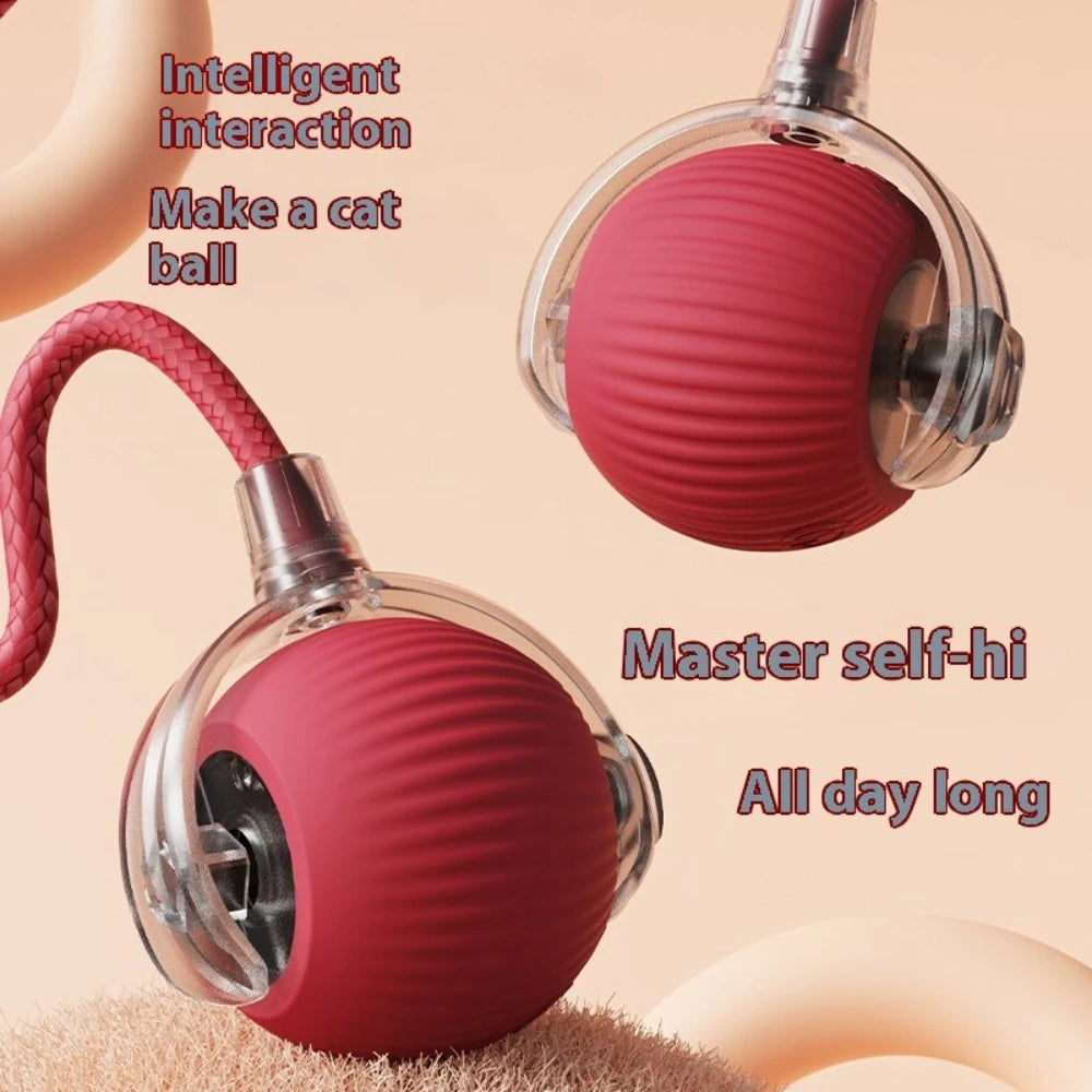 Interactive Rolling Tail Ball – Endless Fun for Cats & Dogs