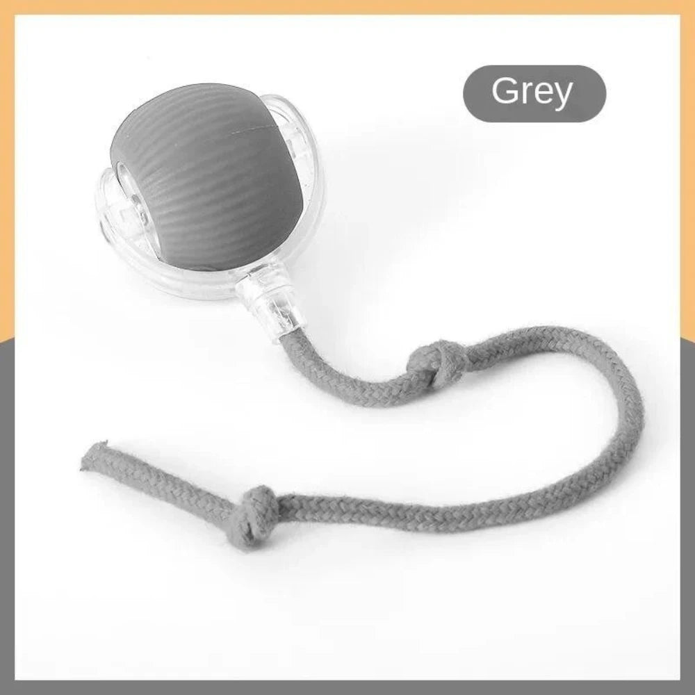 Interactive Rolling Tail Ball – Endless Fun for Cats & Dogs