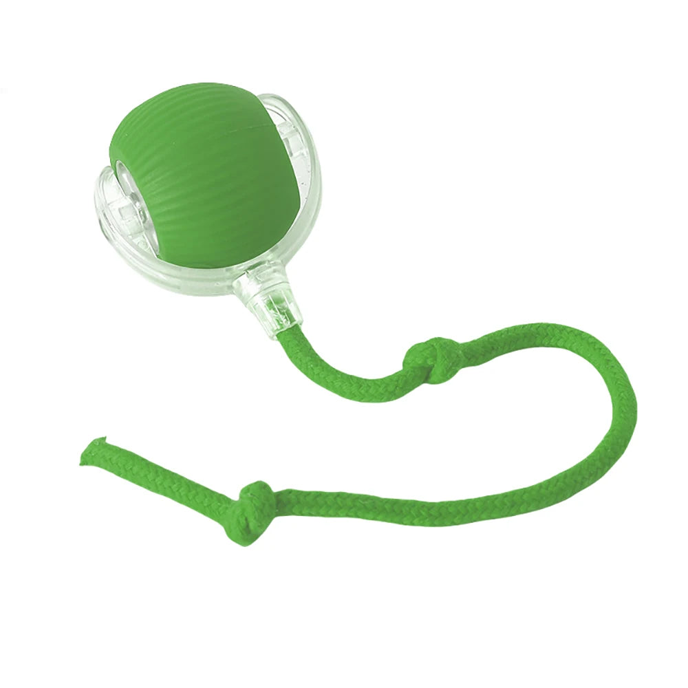 Interactive Rolling Tail Ball – Endless Fun for Cats & Dogs