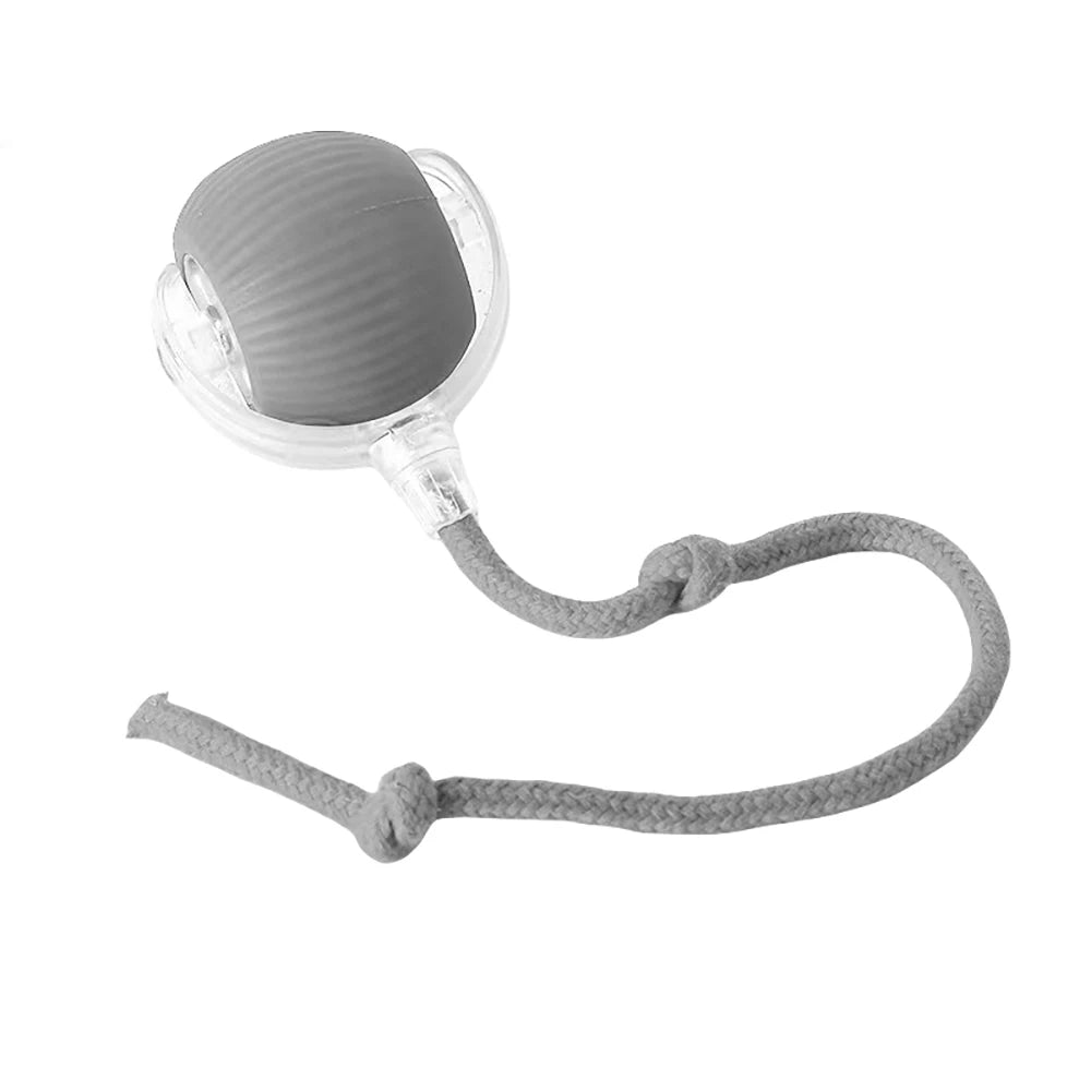 Interactive Rolling Tail Ball – Endless Fun for Cats & Dogs