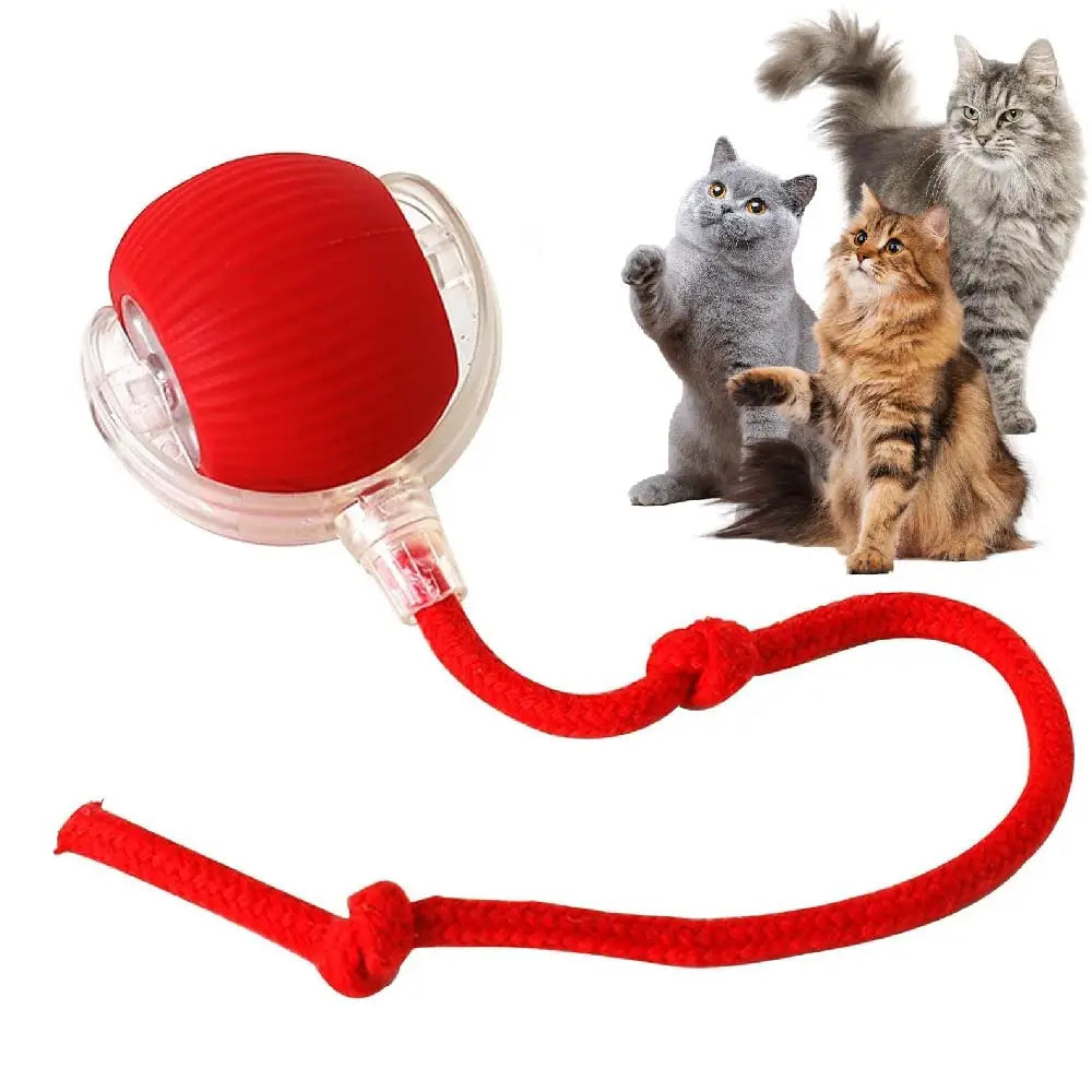Interactive Rolling Tail Ball – Endless Fun for Cats & Dogs