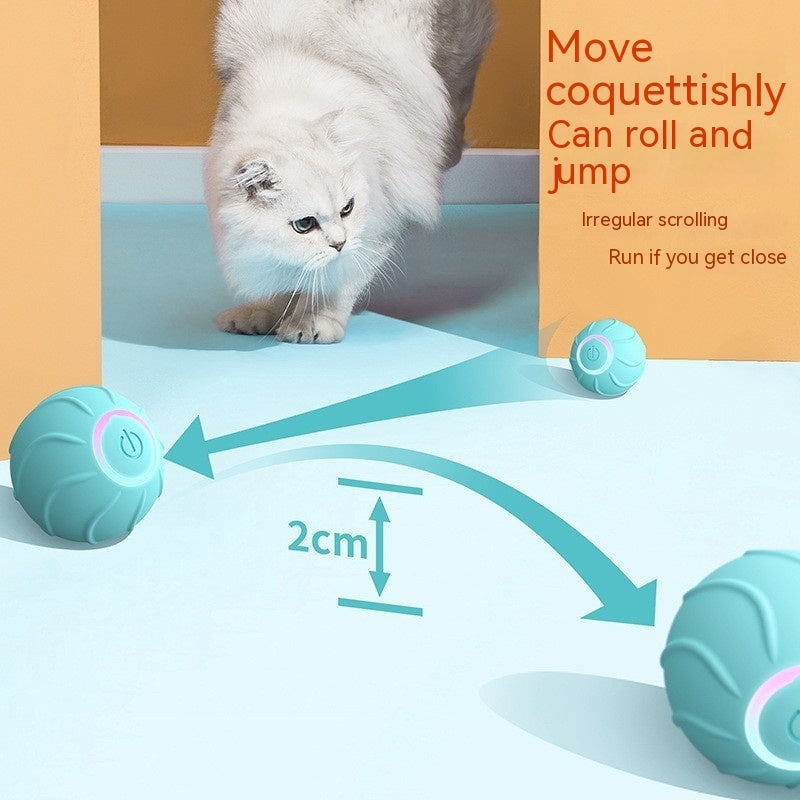 Interactive Rolling Toy – Endless Play for Happy Pets
