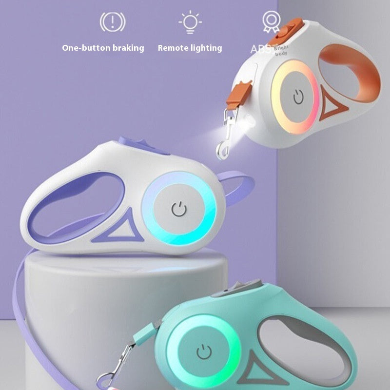 All-in-One Dog Leash, Collar, and Spotlight for Pets