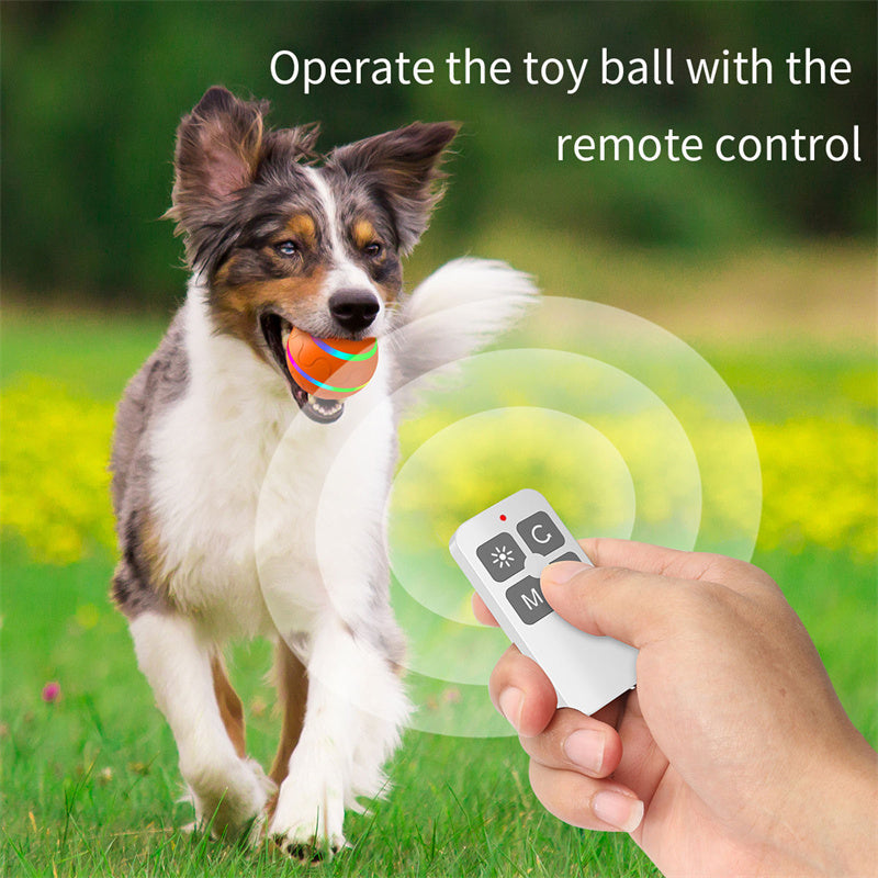 Smart Rolling Pet Ball – Endless Fun, Zero Boredom