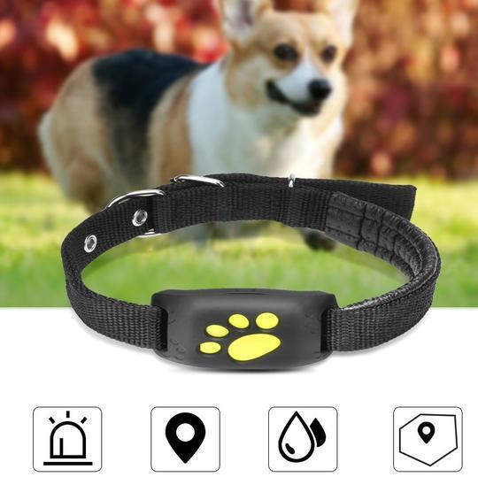 Pet GPS Tracker – Peace of Mind for Owners