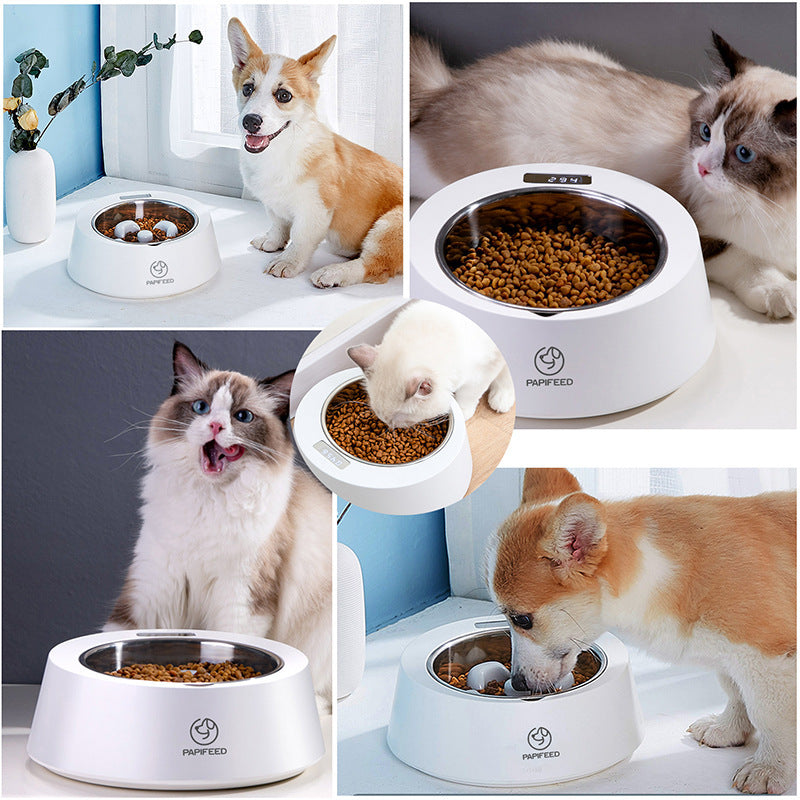 Smart Weigh-Slow Feeder Bowl for Balanced Pet Feeding