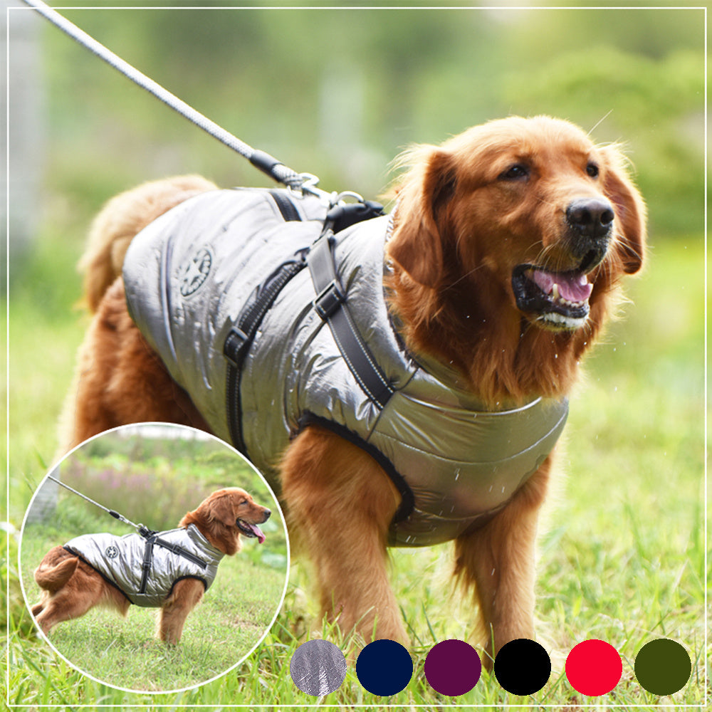 Warm & Waterproof Pet Jacket with Harness