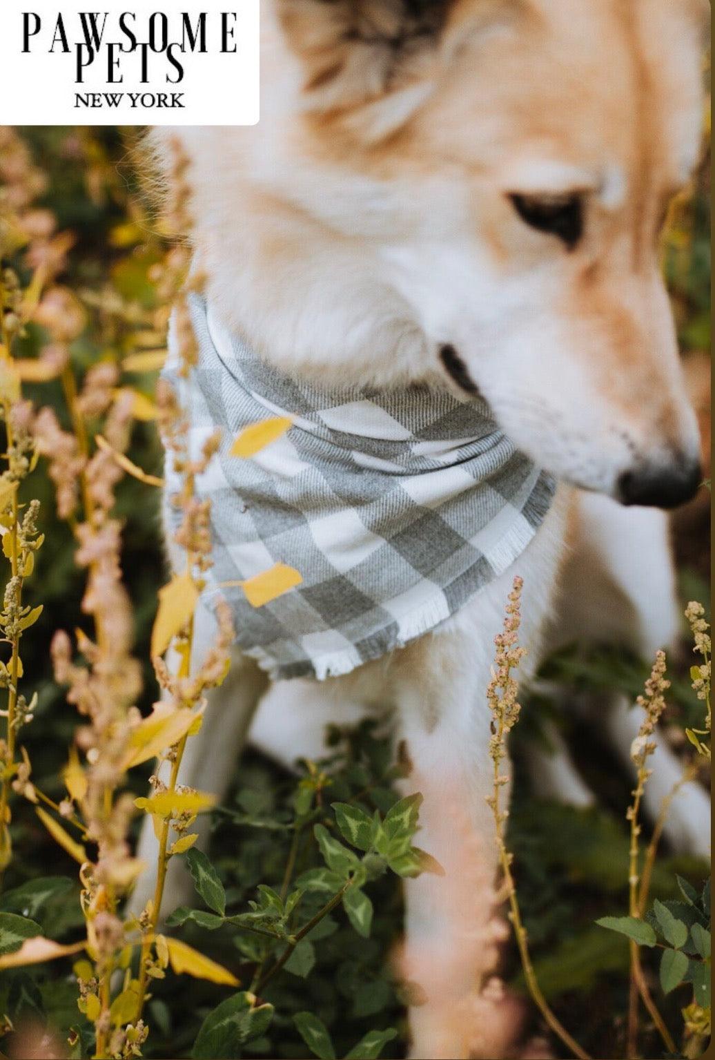 Warm Tinsel Pet Bandana — Perfect Look