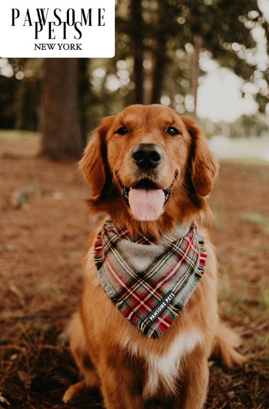 Warm Tinsel Pet Bandana — Dress Up Your Dog