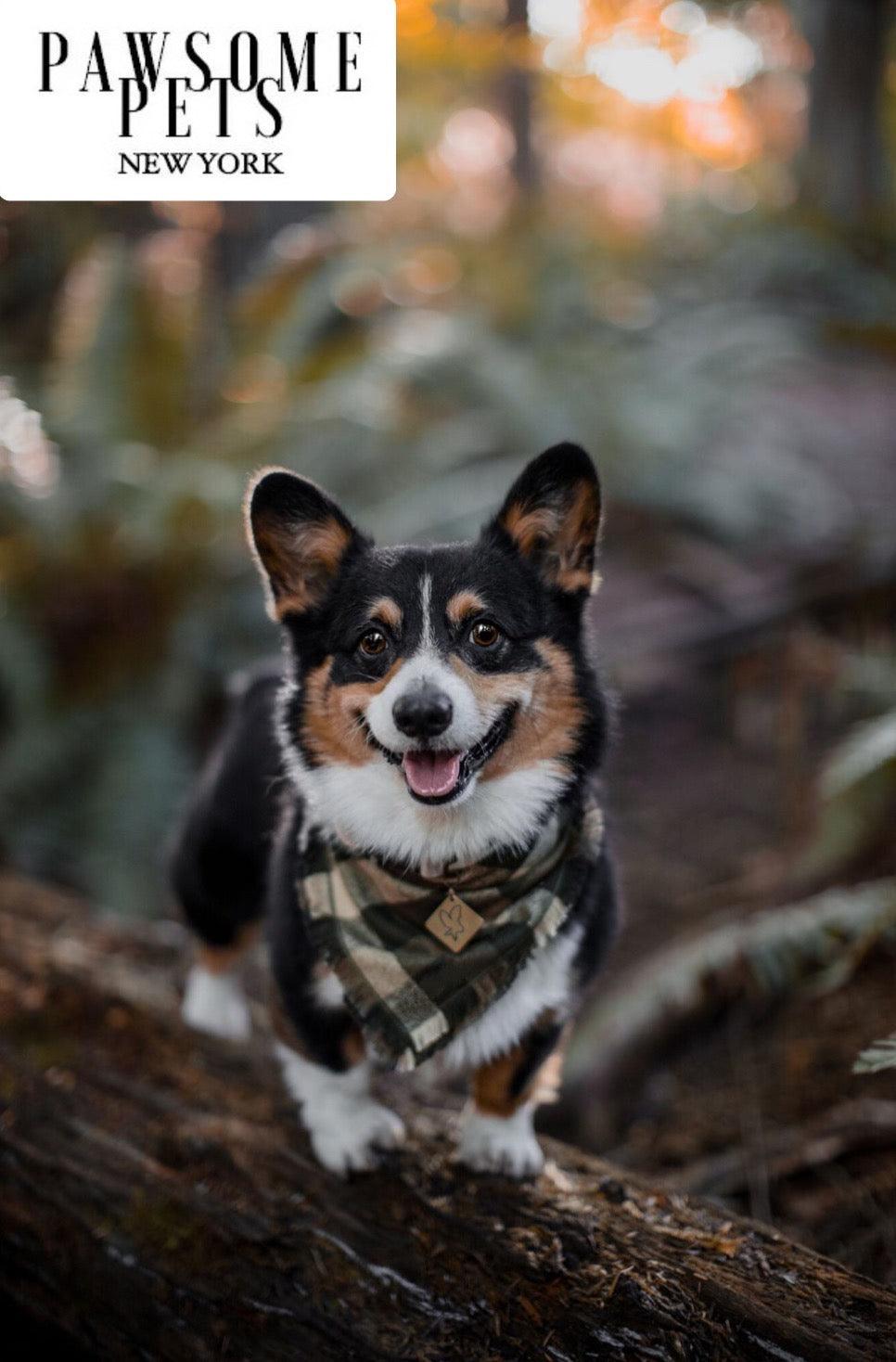 Warm Tinsel Pet Bandana - Olive Green