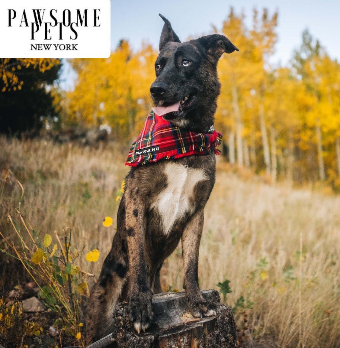 Warm Tinsel Pet Bandana - Nox