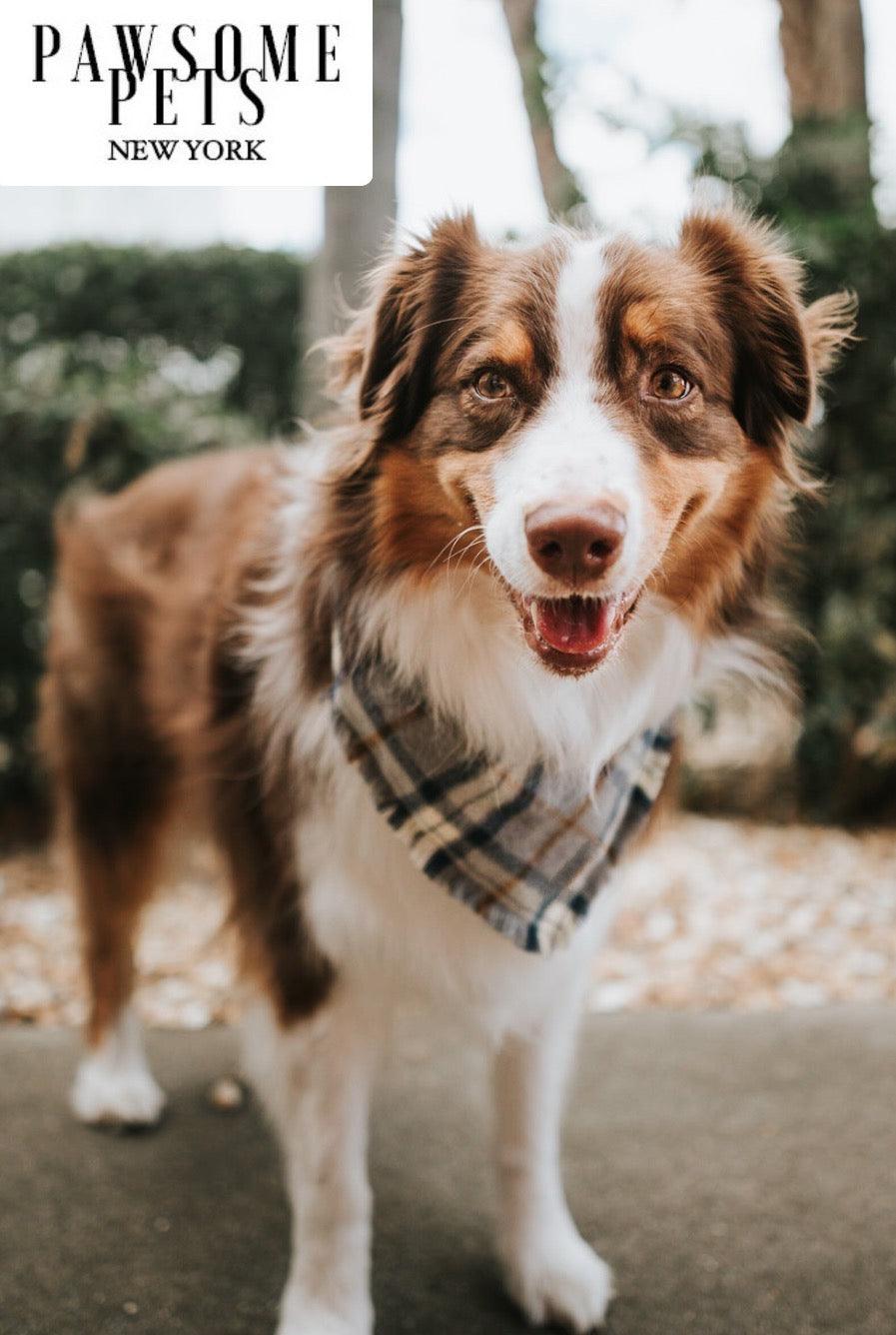 Warm Tinsel Pet Bandana - Porter
