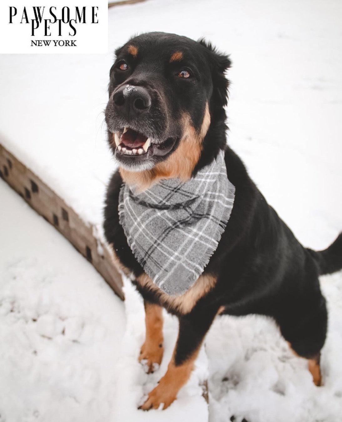 Warm Tinsel Pet Bandana — Stand Out in Style
