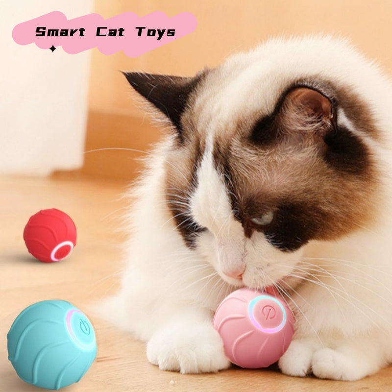 Interactive Rolling Toy – Endless Play for Happy Pets