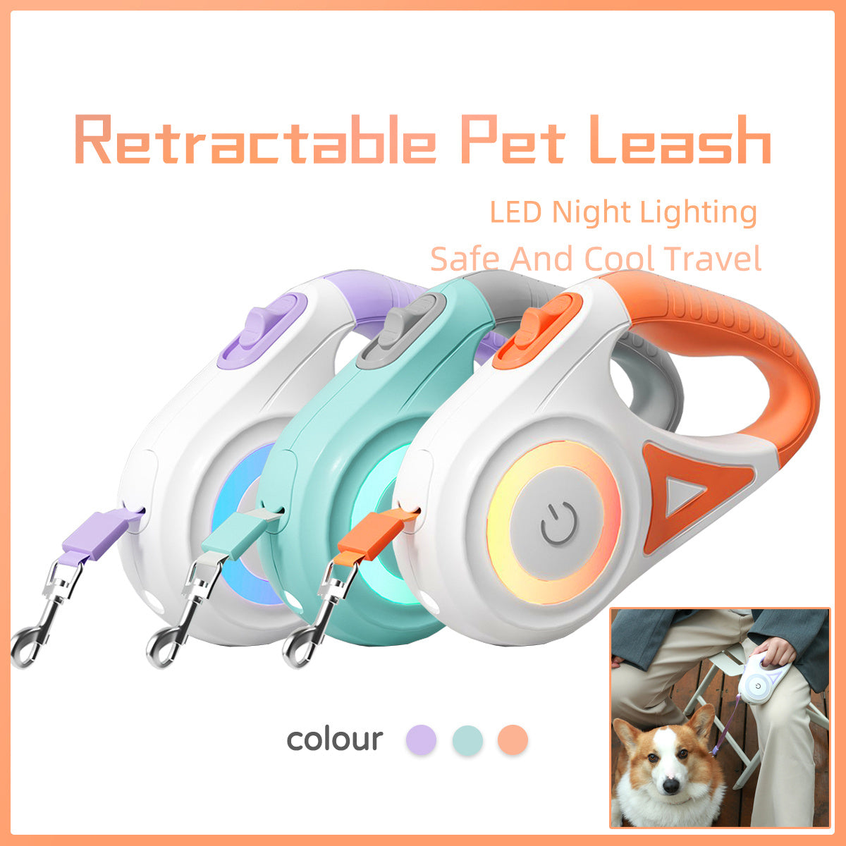 All-in-One Dog Leash, Collar, and Spotlight for Pets