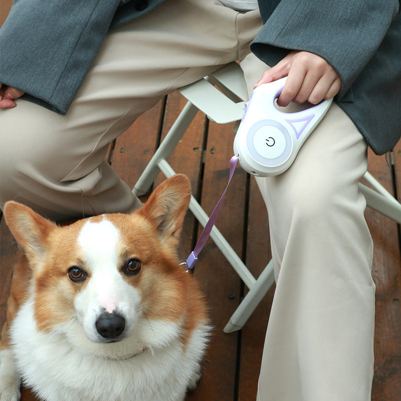 All-in-One Dog Leash, Collar, and Spotlight for Pets