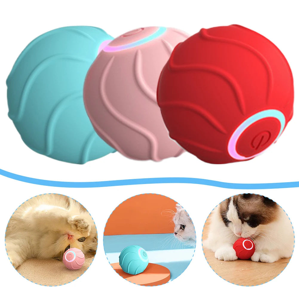 Interactive Rolling Toy – Endless Play for Happy Pets