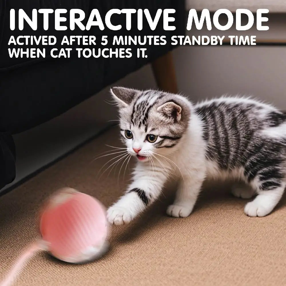 Interactive Rolling Tail Ball – Endless Fun for Cats & Dogs