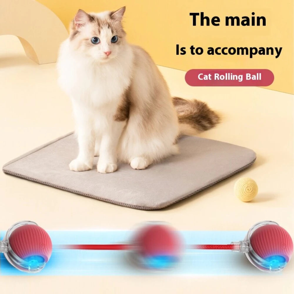 Interactive Rolling Tail Ball – Endless Fun for Cats & Dogs