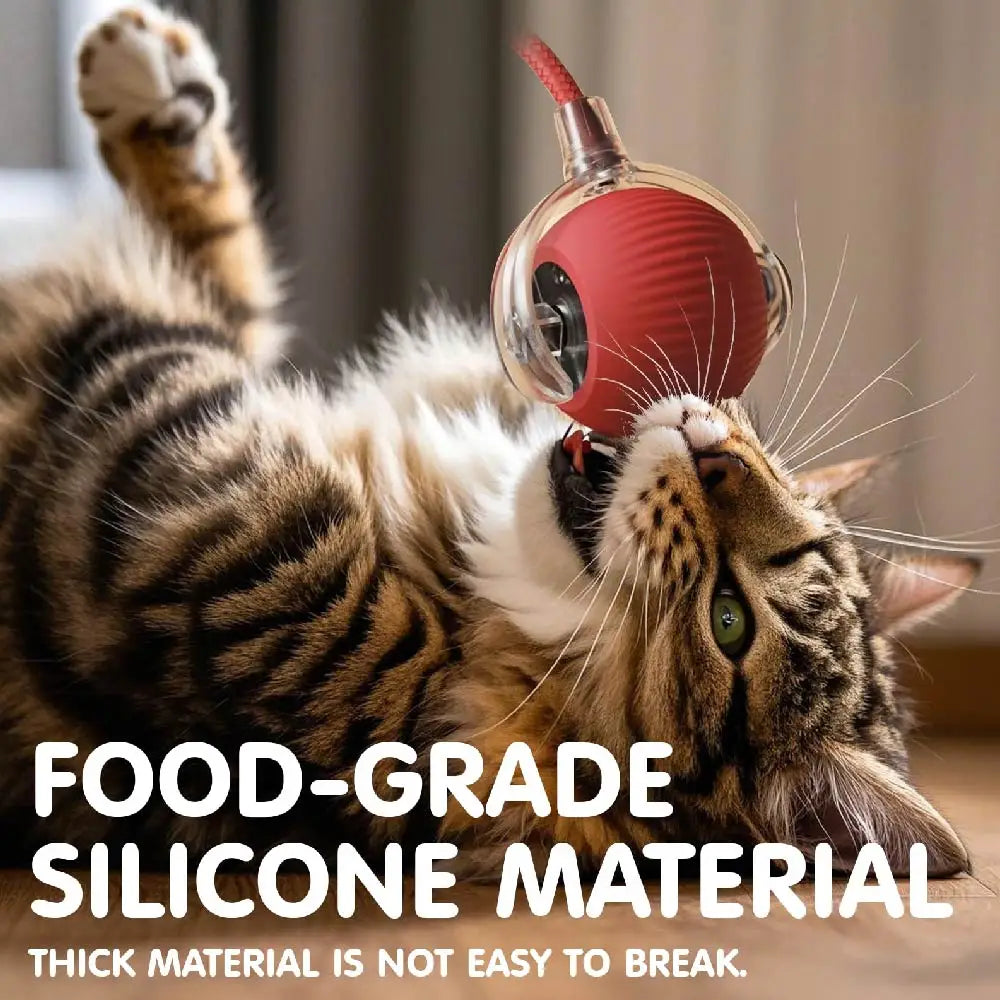 Interactive Rolling Tail Ball – Endless Fun for Cats & Dogs