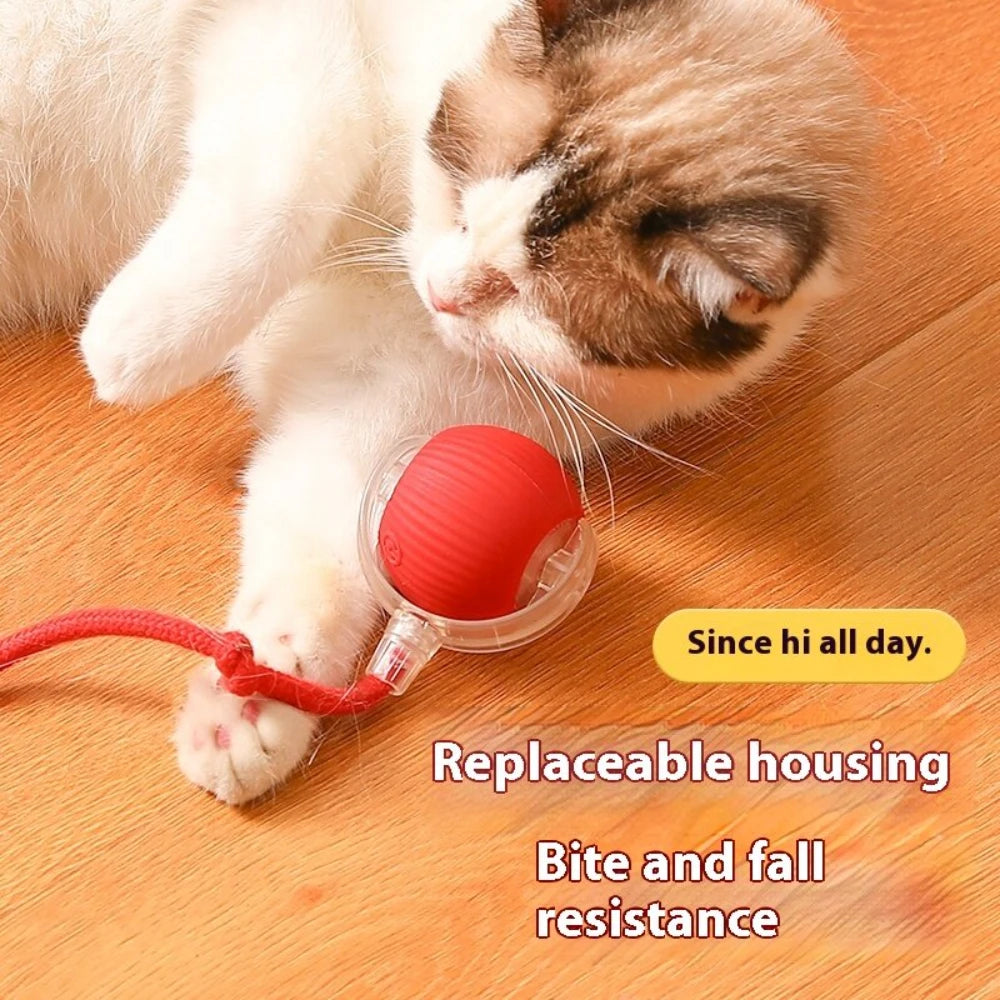 Interactive Rolling Tail Ball – Endless Fun for Cats & Dogs