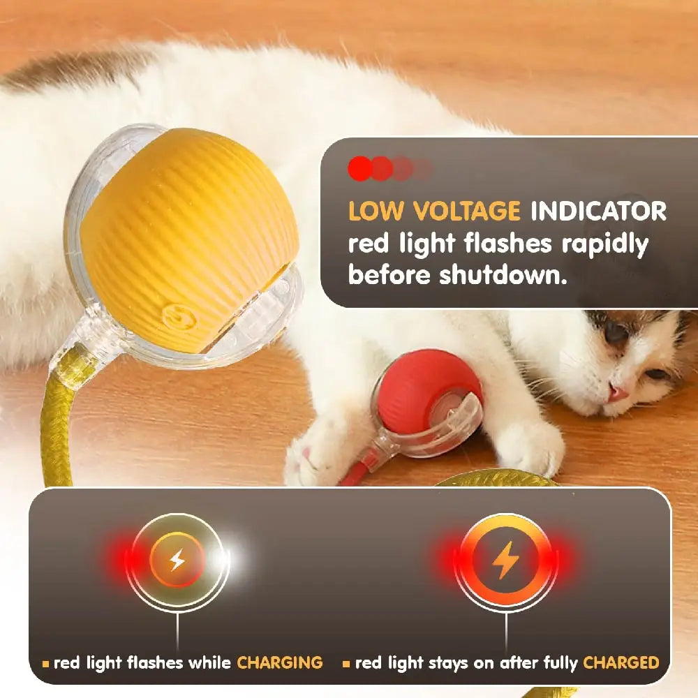 Interactive Rolling Tail Ball – Endless Fun for Cats & Dogs