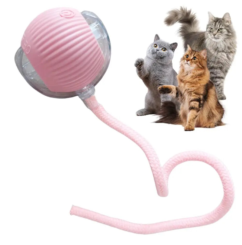 Interactive Rolling Tail Ball – Endless Fun for Cats & Dogs