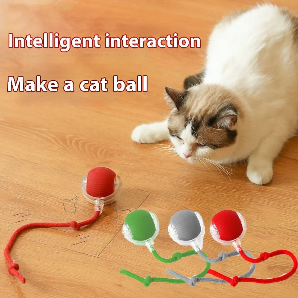 Interactive Rolling Tail Ball – Endless Fun for Cats & Dogs