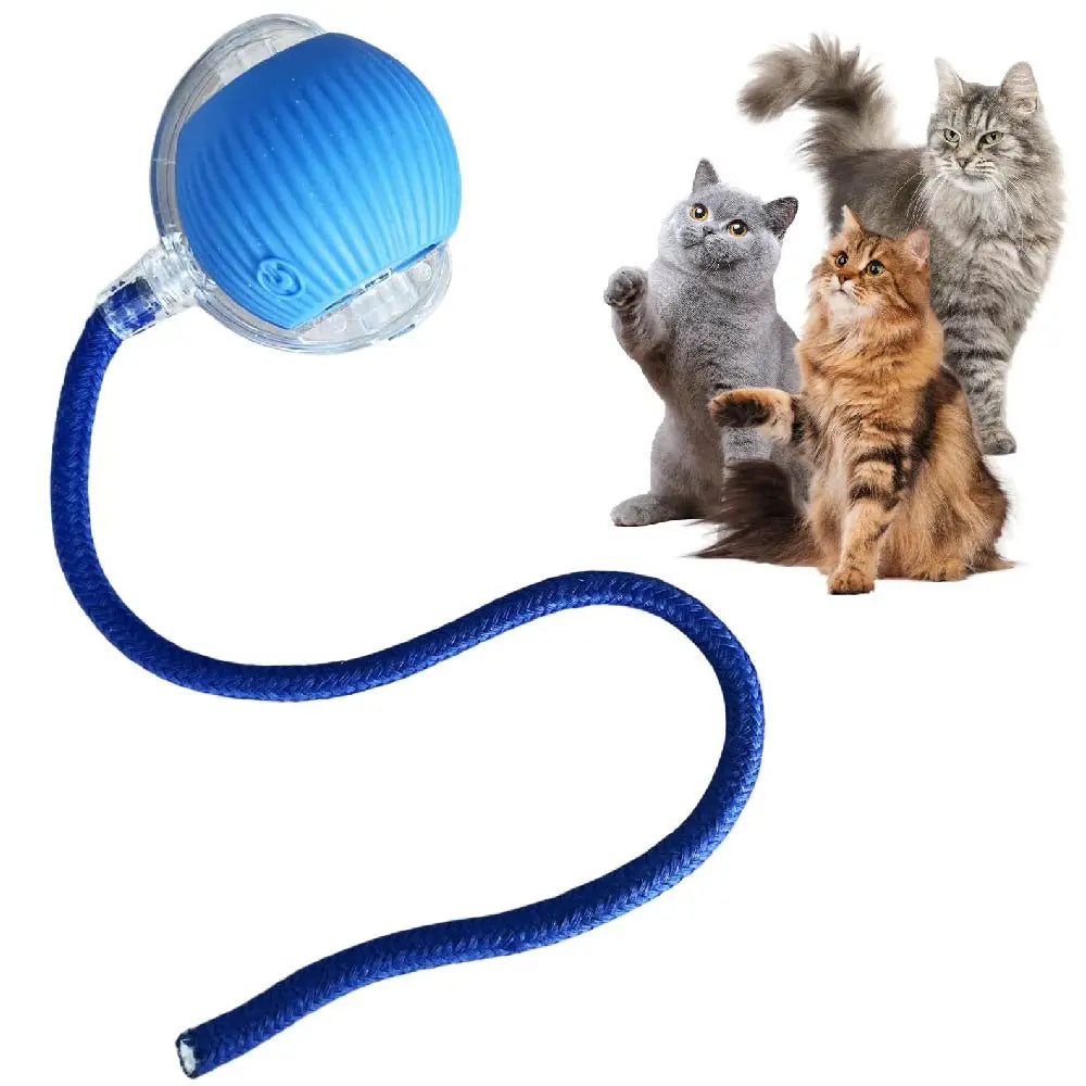 Interactive Rolling Tail Ball – Endless Fun for Cats & Dogs
