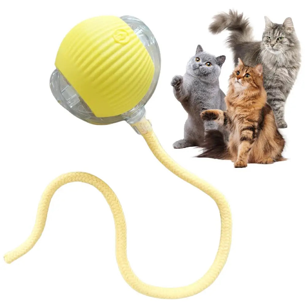 Interactive Rolling Tail Ball – Endless Fun for Cats & Dogs