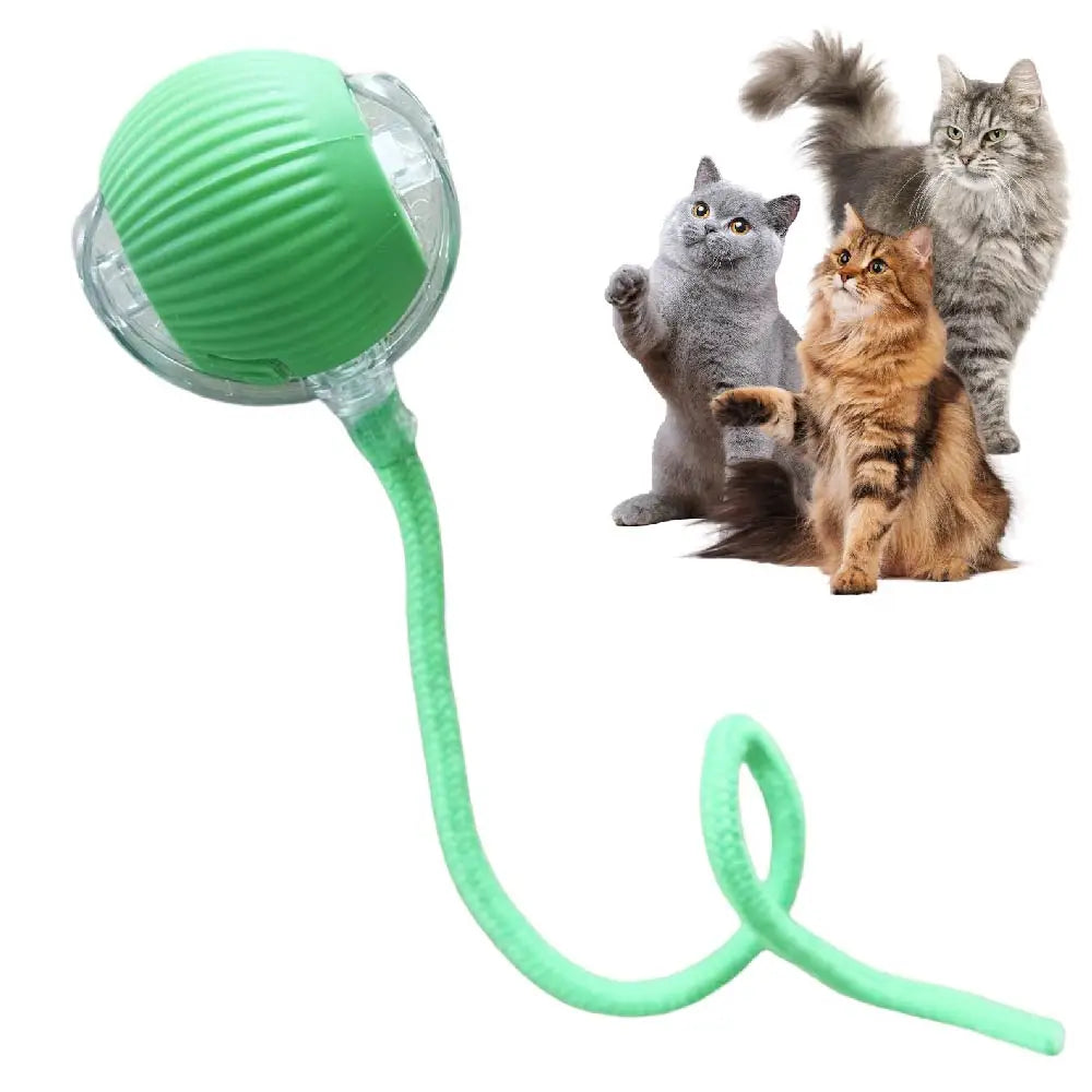 Interactive Rolling Tail Ball – Endless Fun for Cats & Dogs