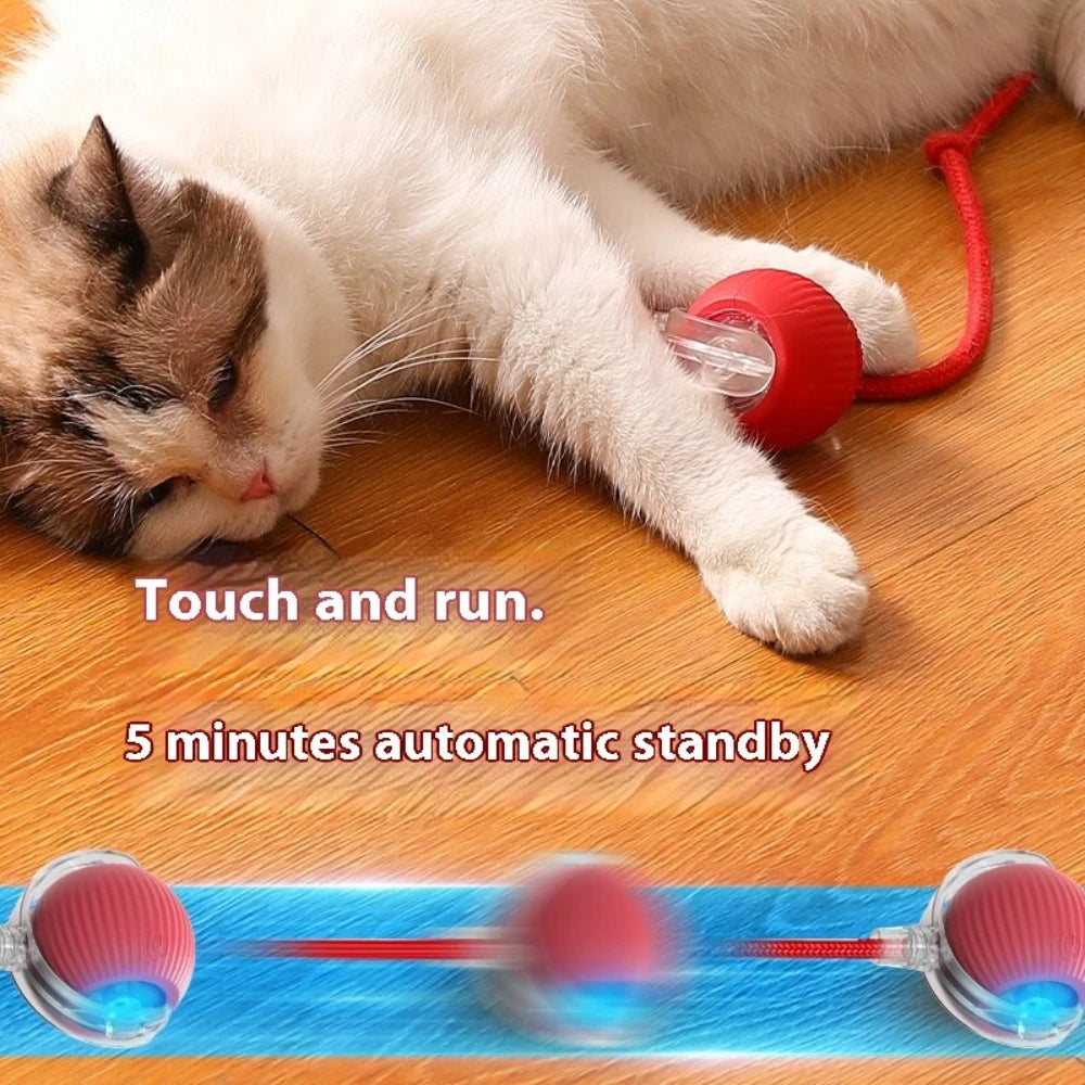 Interactive Rolling Tail Ball – Endless Fun for Cats & Dogs