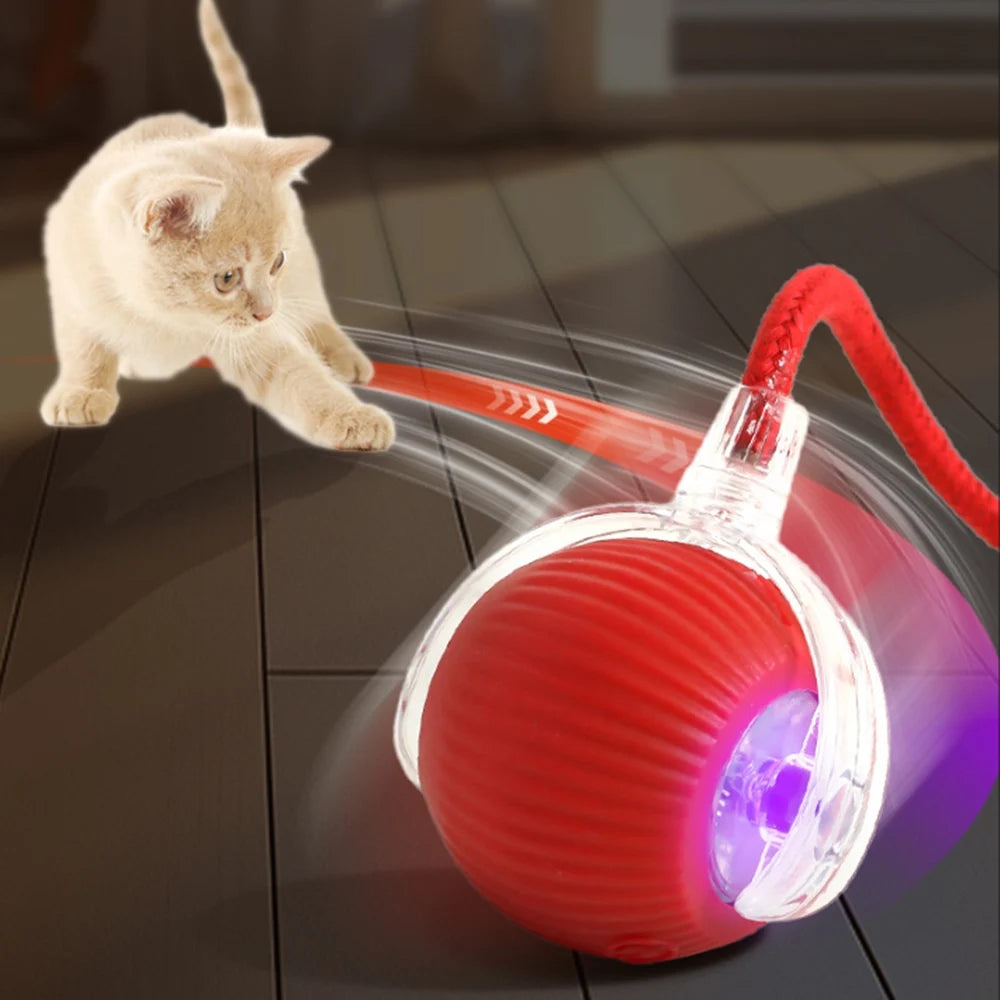 Interactive Rolling Tail Ball – Endless Fun for Cats & Dogs