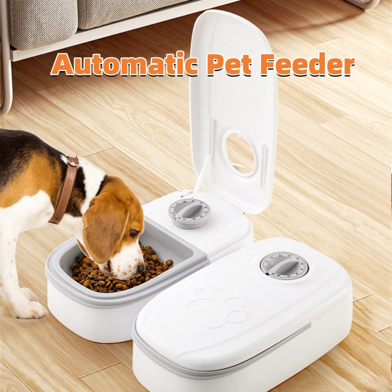 Smart Stainless-Steel Auto Pet Feeder – Timed Meals, Controlled Portions