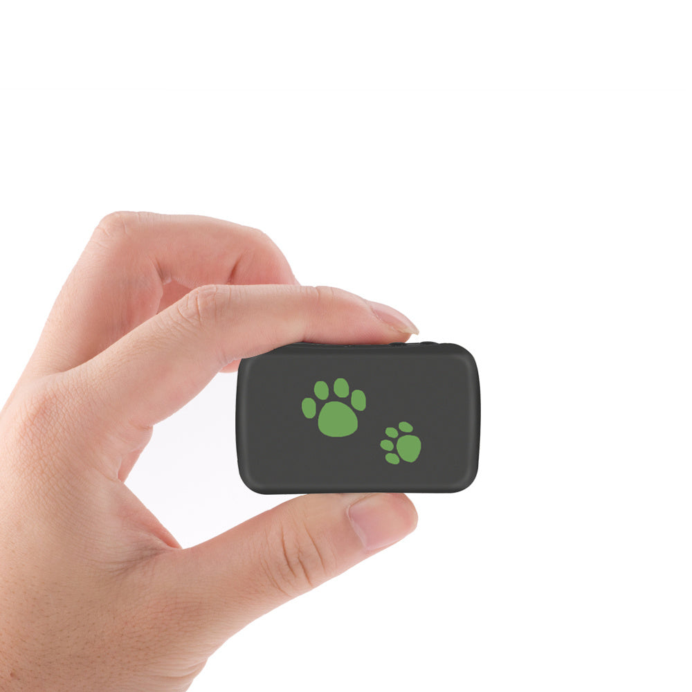 Pet GPS Locator – Never Lose Your Pet Again