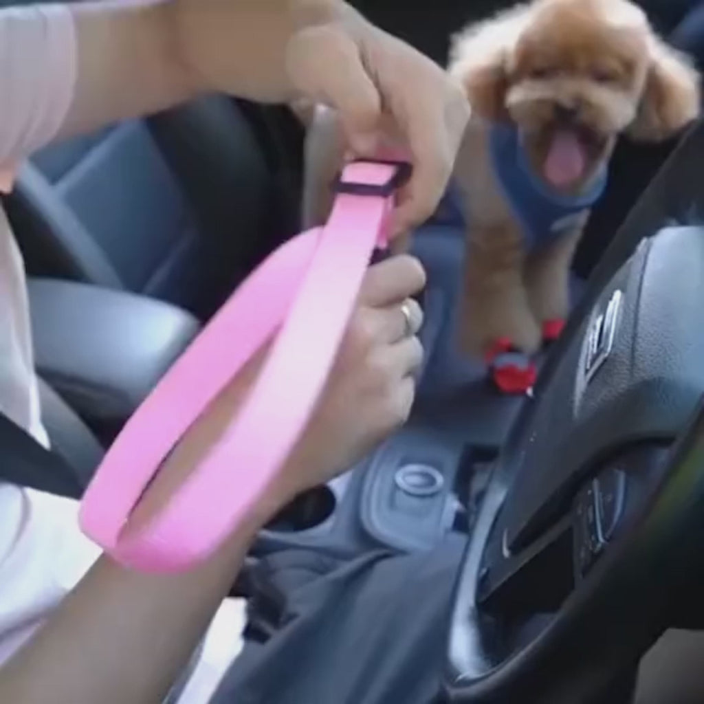 Pet Car Seat Belt with Safety Clip for Dogs & Cats